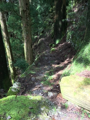 熊野の秘境、玉置神社に行ってきた。